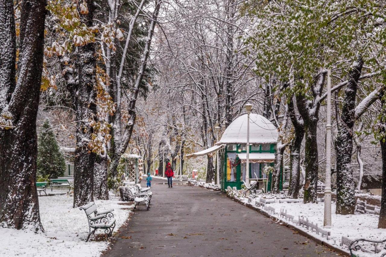 Cristi'S Rooms - Pensiune Oradea Exterior foto